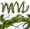 Yards Green Vines Garland Artificial Ivy Garland Foliage Green Leaves Fake Vine Leaf Hanging Plants for Wedding Party DIY Green Leaves Headband Headbands Vines